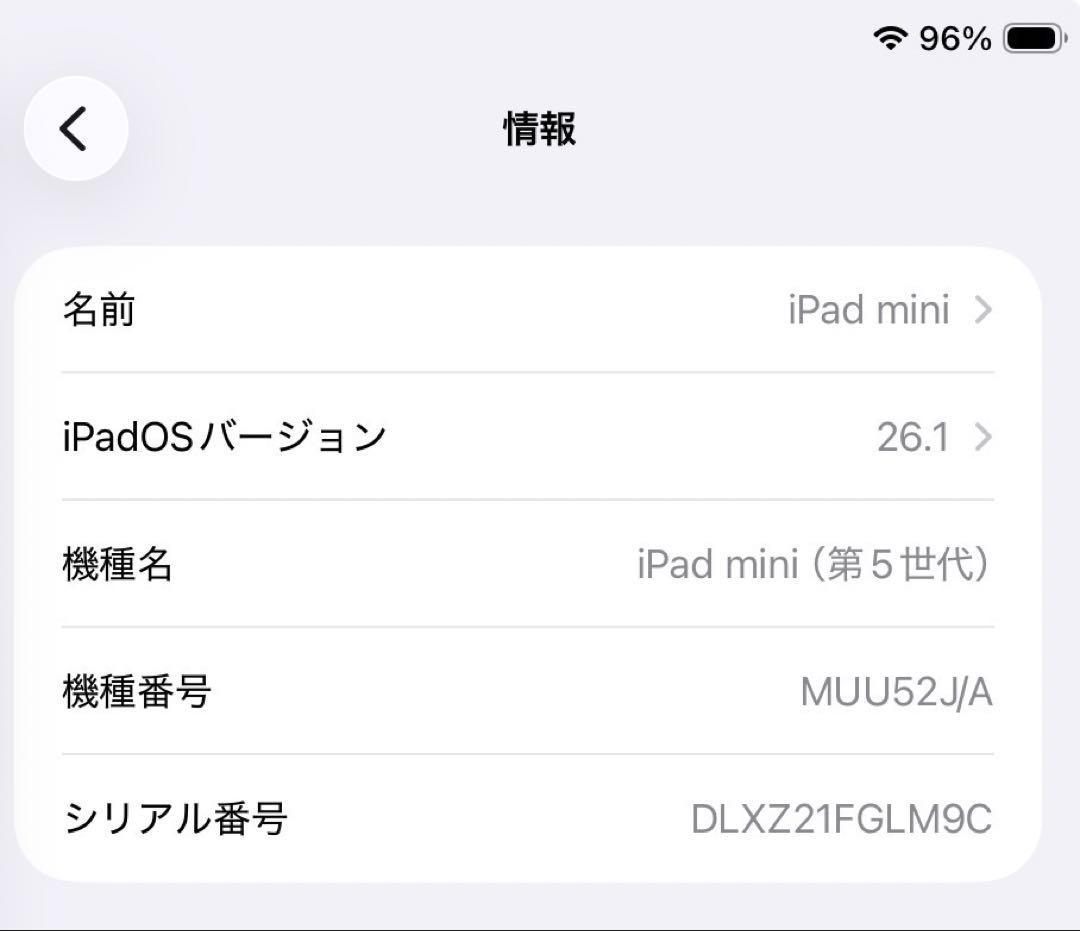 Apple iPad mini 第5世代 256G +Apple Pencil