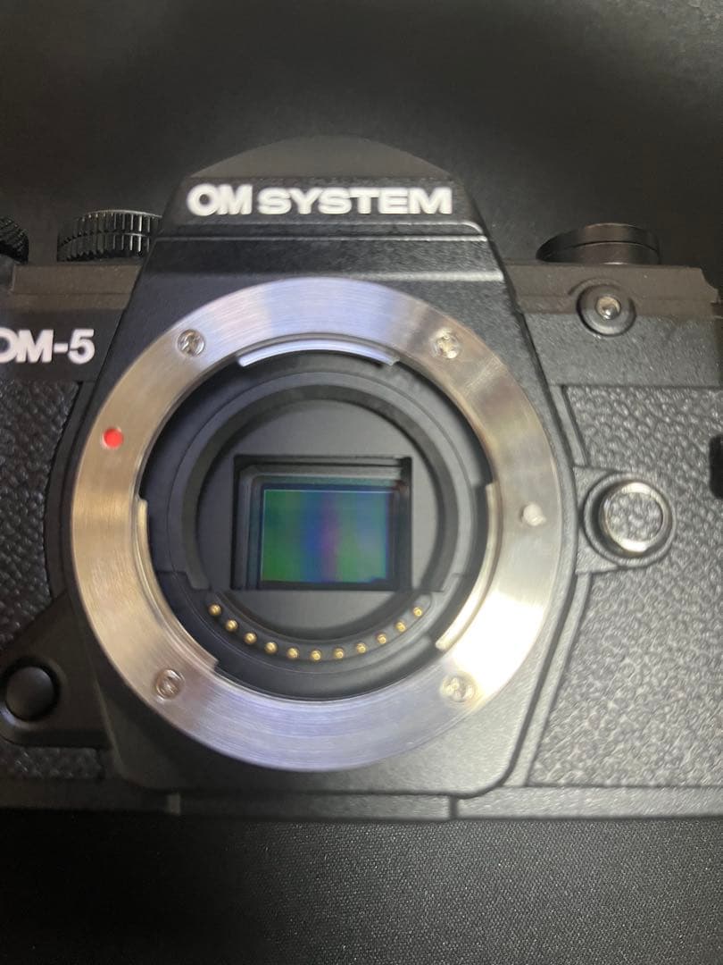 最終値下げOM SYSTEM OM-5 ミラーレスカメラ 本体