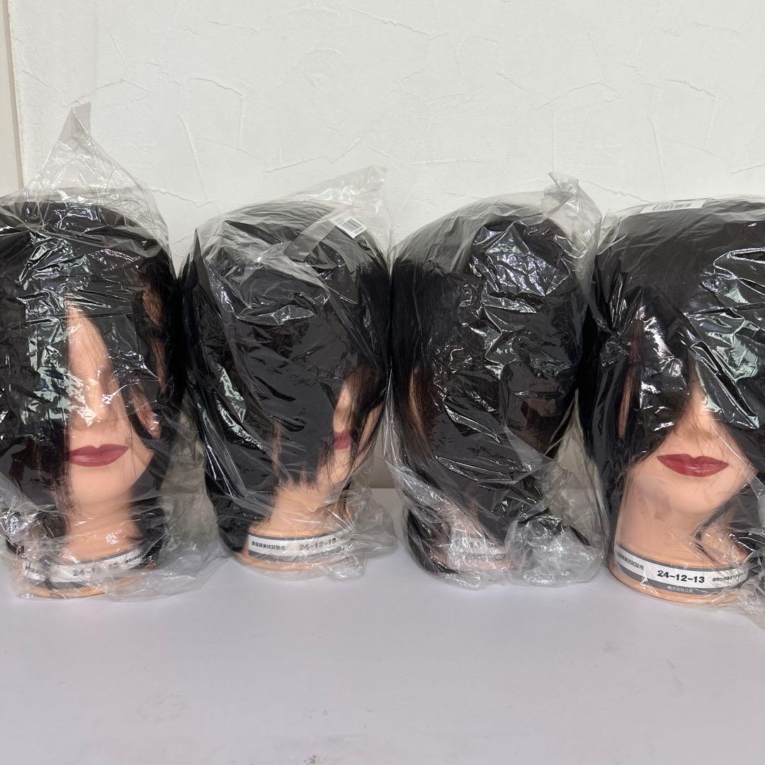 〈新品未使用〉美容師国家試験用カットウィッグ4個セット