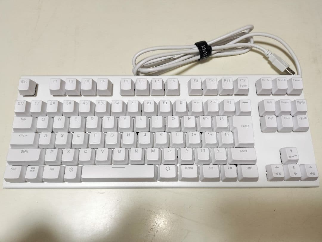Realforce GX1 X1UC23 日本語 30g ホワイト