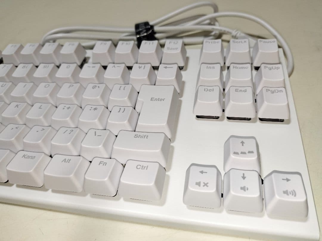 Realforce GX1 X1UC23 日本語 30g ホワイト