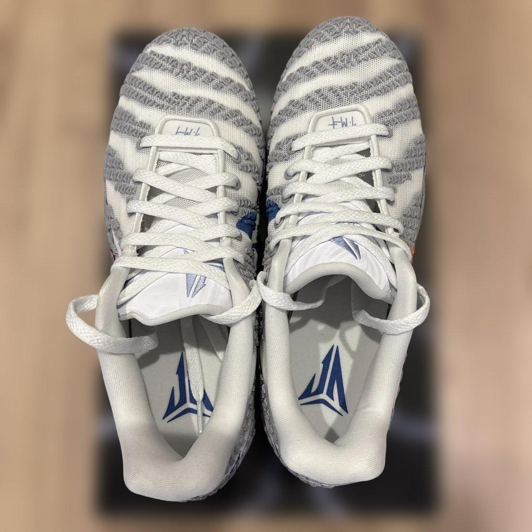 シューズ(男性用) NIKE JA3