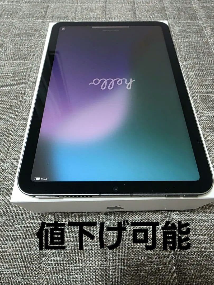 iPad mini 6 64GB セルラー SoftBank ○ 判定 美品