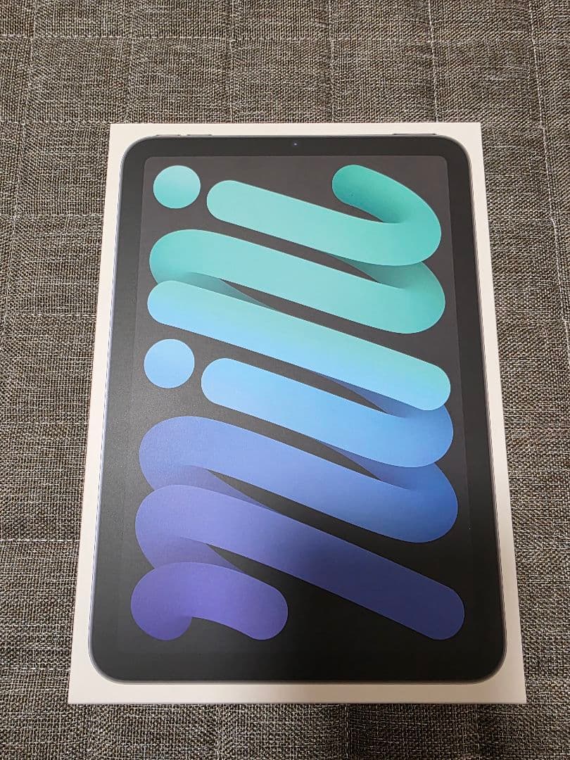 iPad mini 6 64GB セルラー SoftBank ○ 判定 美品