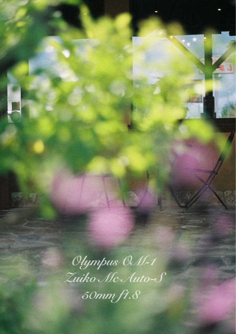 OM-1/zuiko 50mm f1.8★完動品・美品・初期保証！試写作例多数！