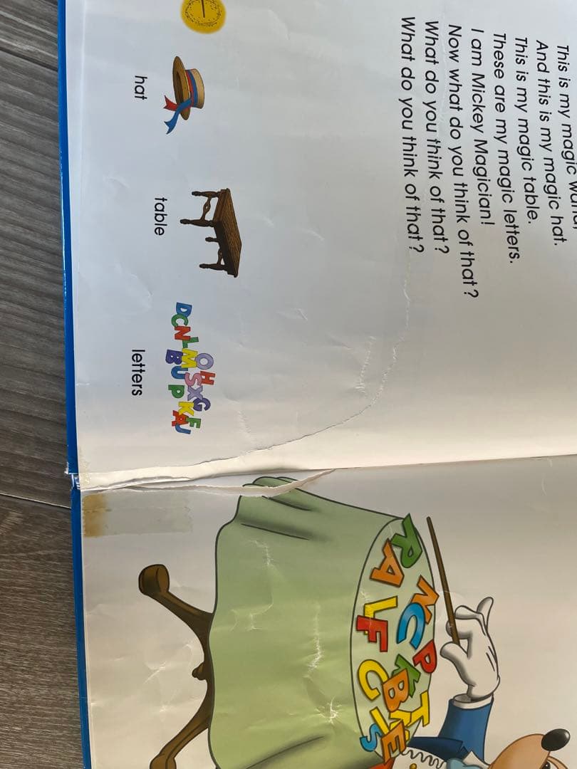 DWE シングアロング ストレートプレイ