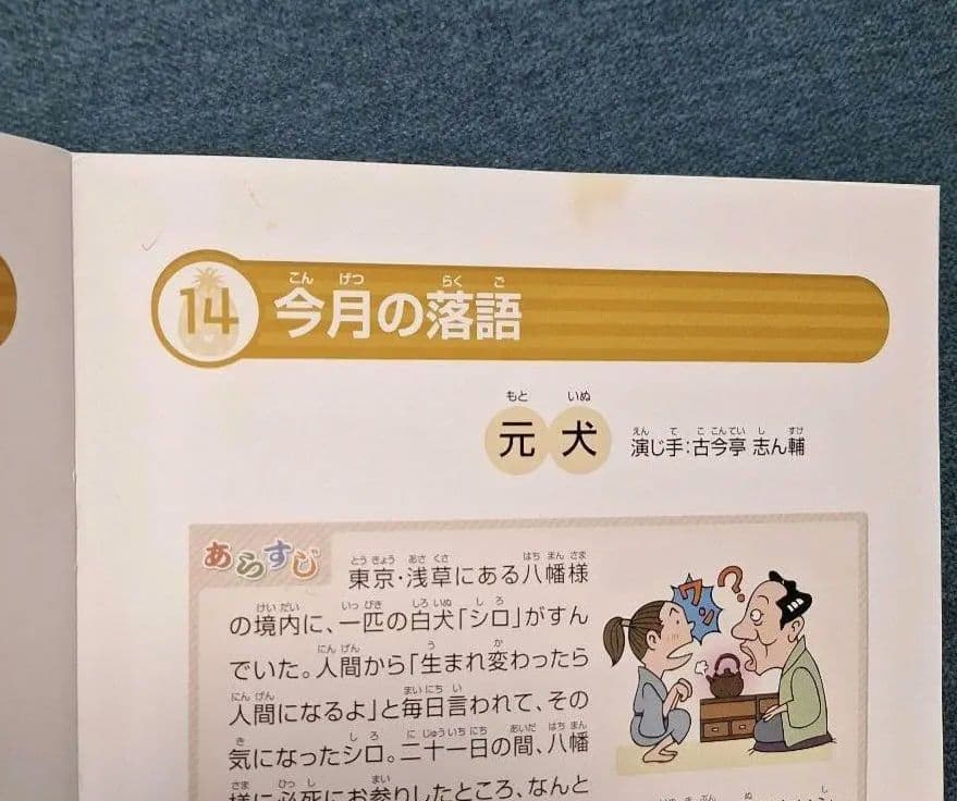 マンスリーDVD ルビー 全巻 12ヵ月　七田　パイナップルキッズ