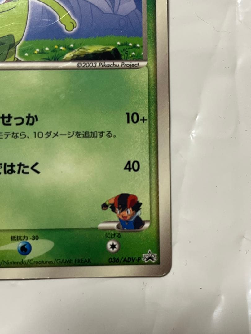 ポケモンカード サトシのキモリ プロモ