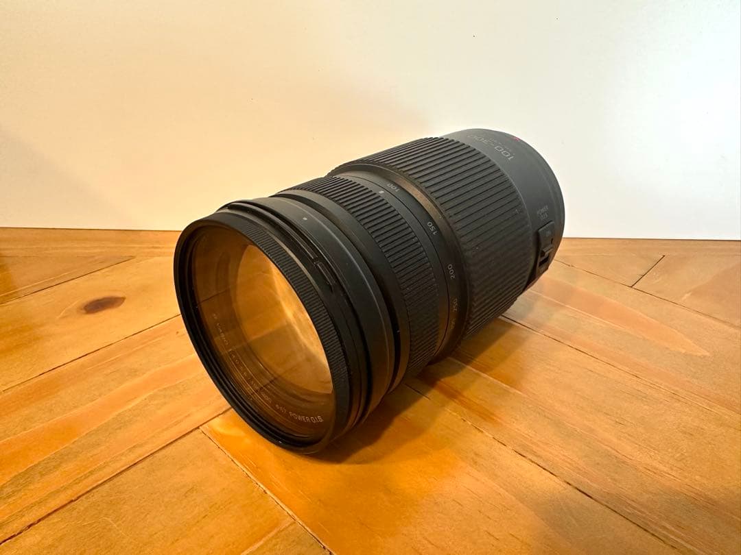 LUMIX G VARIO 望遠レンズ100-300mm/F4.0-5.6 II