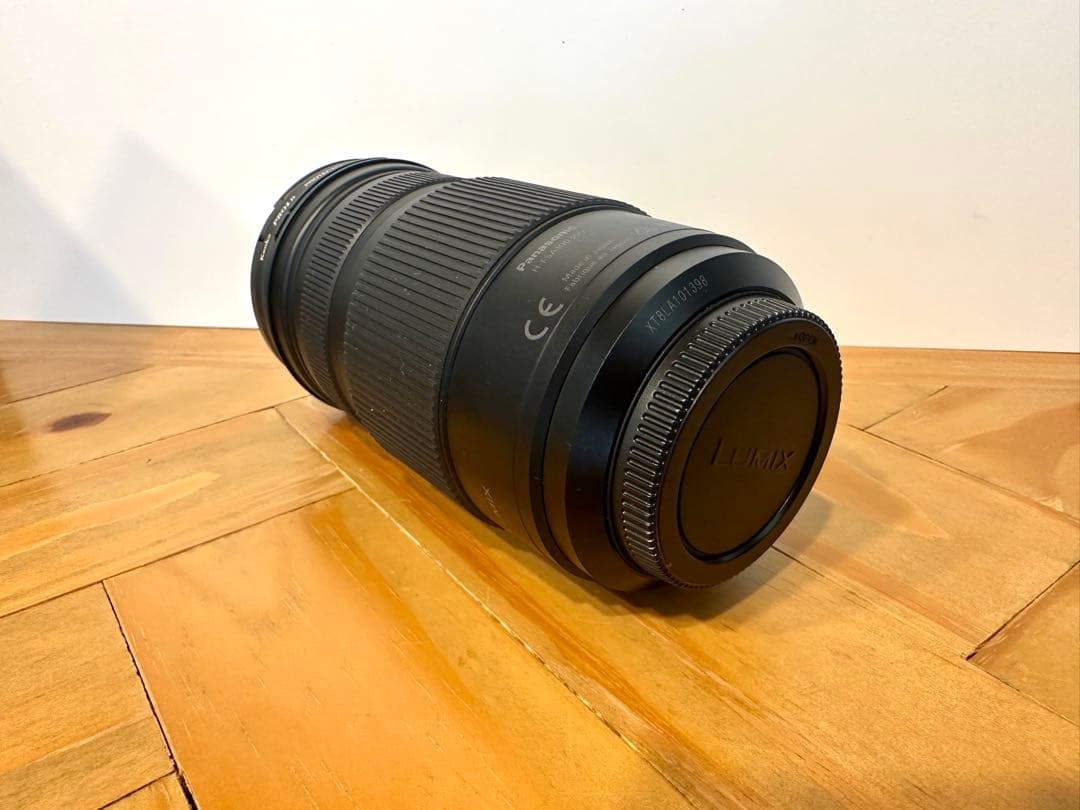 LUMIX G VARIO 望遠レンズ100-300mm/F4.0-5.6 II