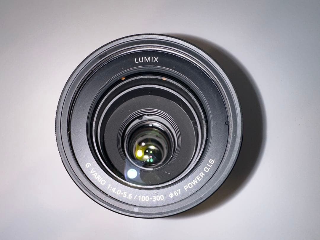 LUMIX G VARIO 望遠レンズ100-300mm/F4.0-5.6 II
