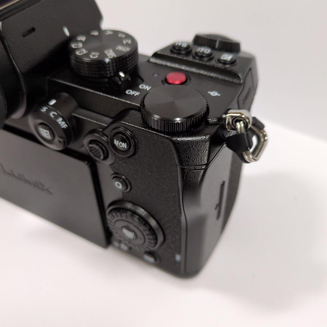 【美品】LUMIX DC-S5 ボディ