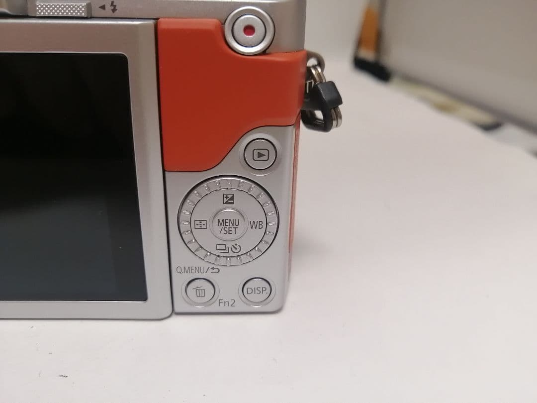 極美品 人気モデル Panasonic LUMIX DC-GF9