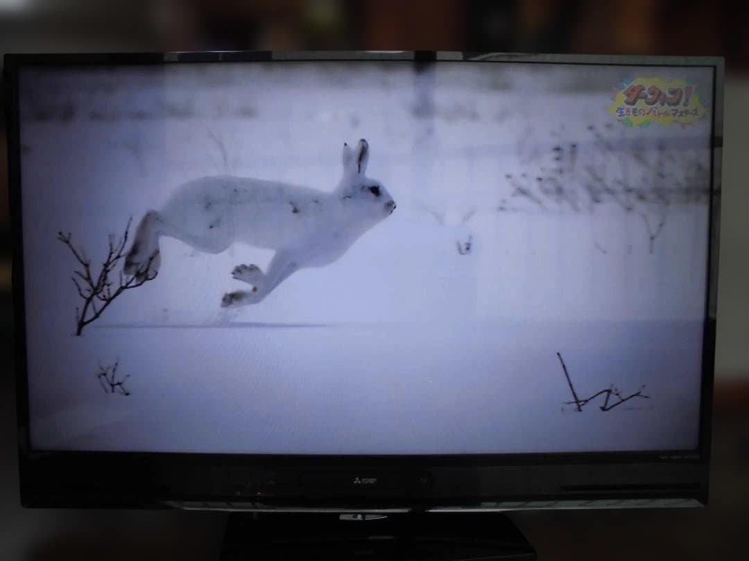 MITSUBISHI LCD-A50BHR8 50インチブルーレイレコーダー