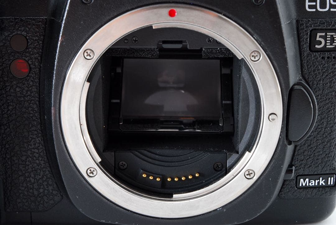 キャノン Canon EOS ５D mark II ダブルレンズセット