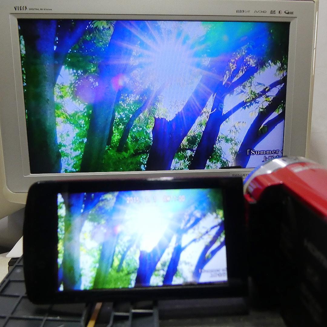 動作良好 JVC Everio GZ-E750-R HDD/SD ビデオカメラ