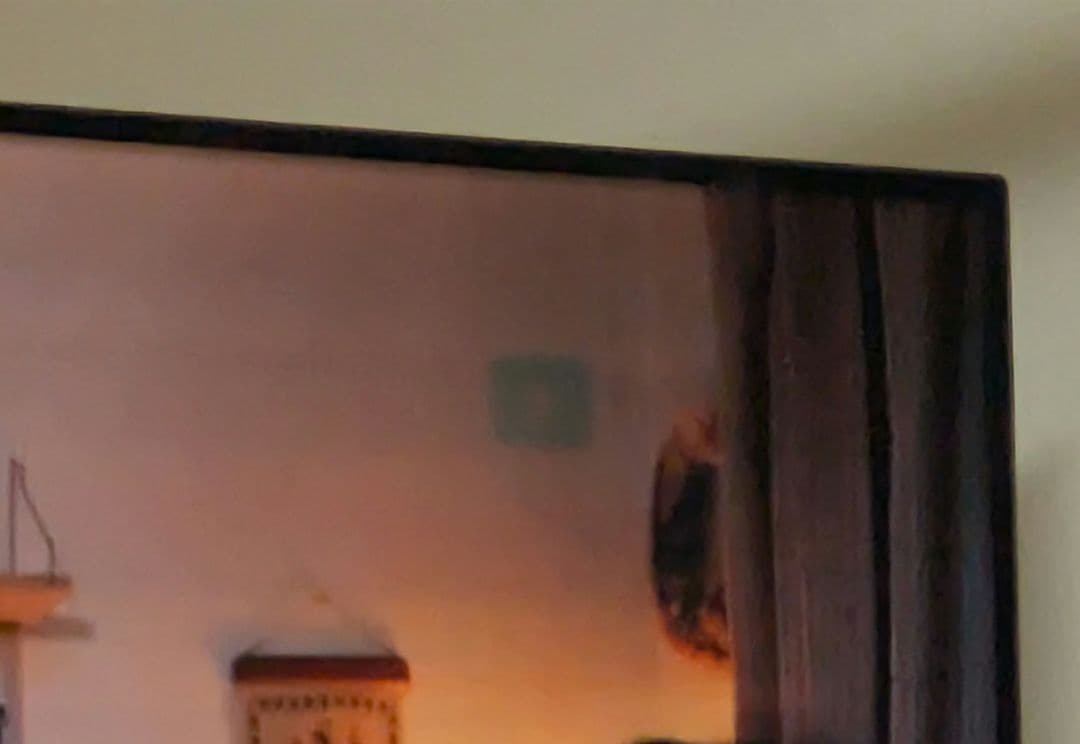 東芝　REGZA　4K有機ELテレビ　 21年 タイムシフトマシン搭載 HDD付