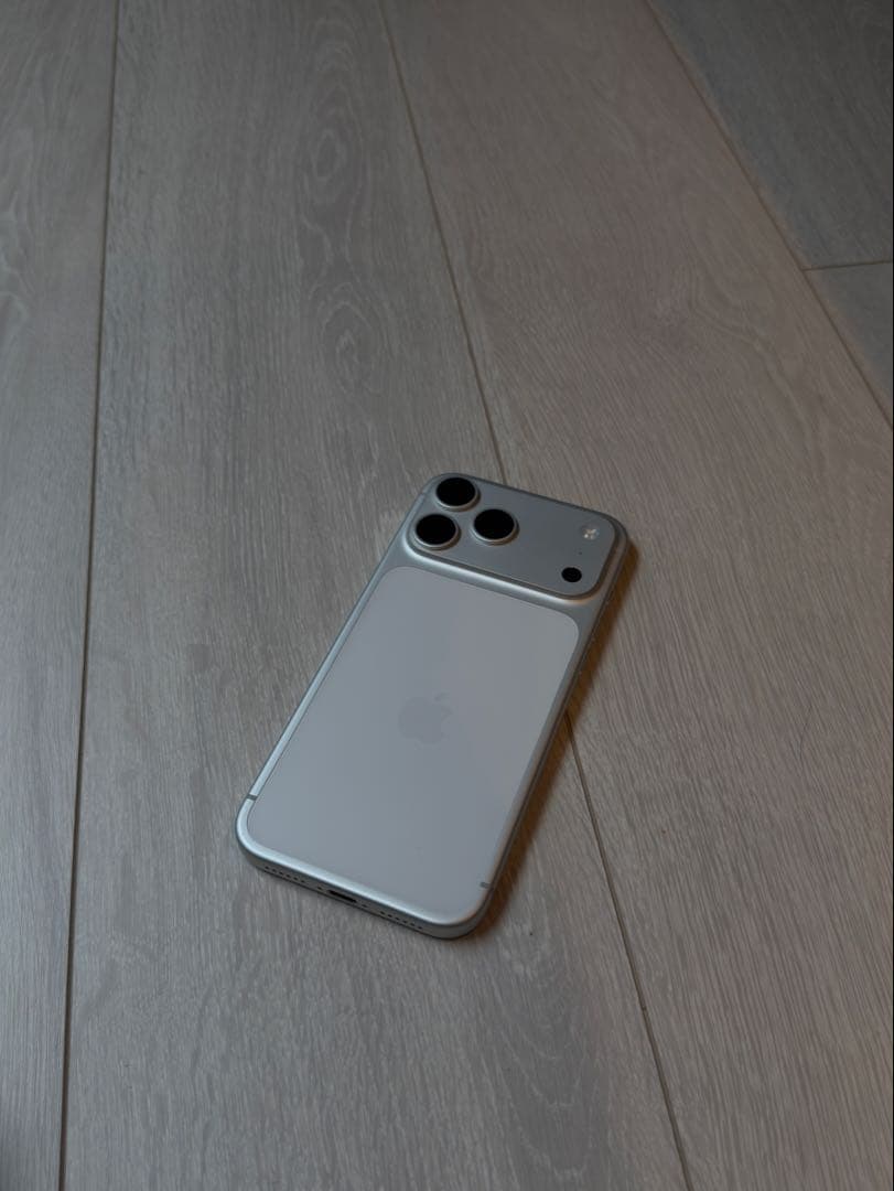 iPhone 17 pro max 海外版