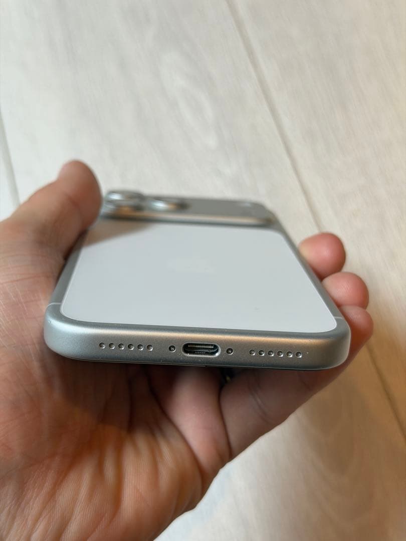 iPhone 17 pro max 海外版