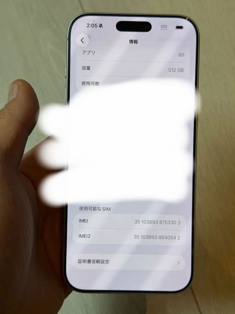 iPhone 17 pro max 海外版