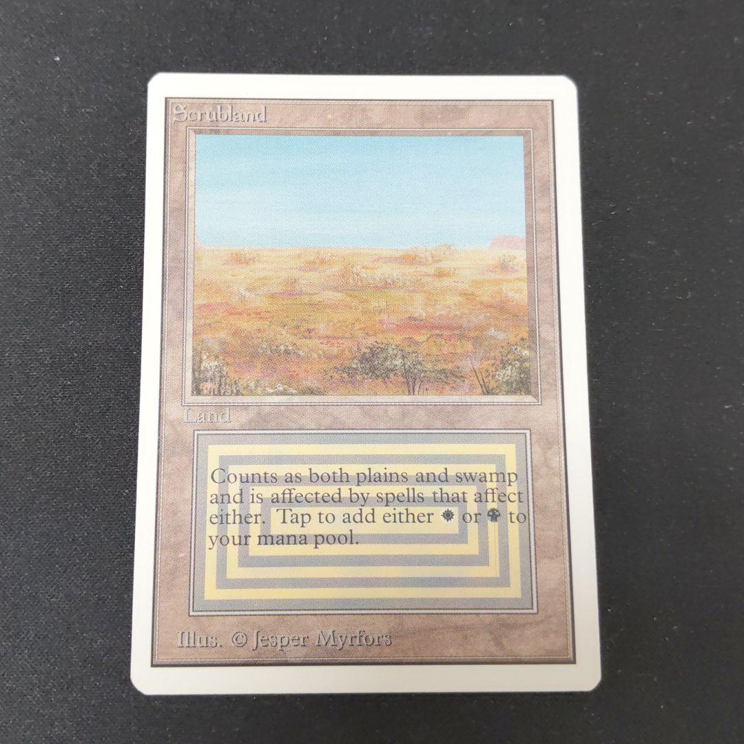 ●【貴重】【やや擦れアリ】　Scrubland　２ED　英語１枚