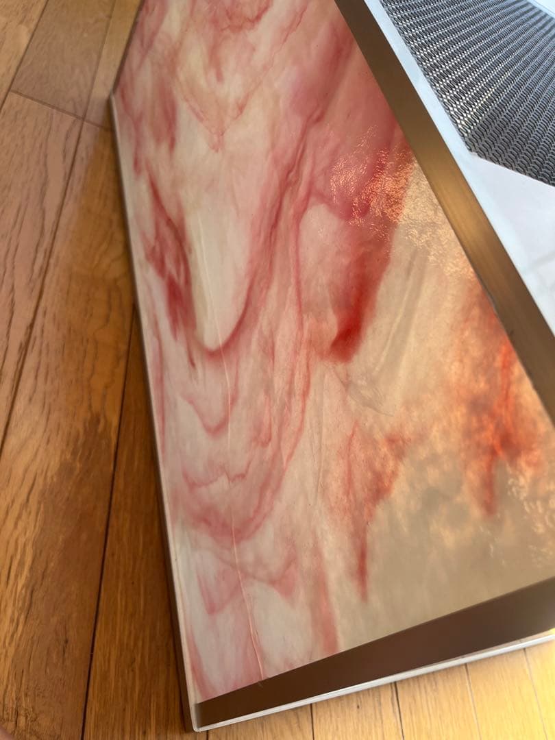 そら　龍匠 ガラス飼育ケージ