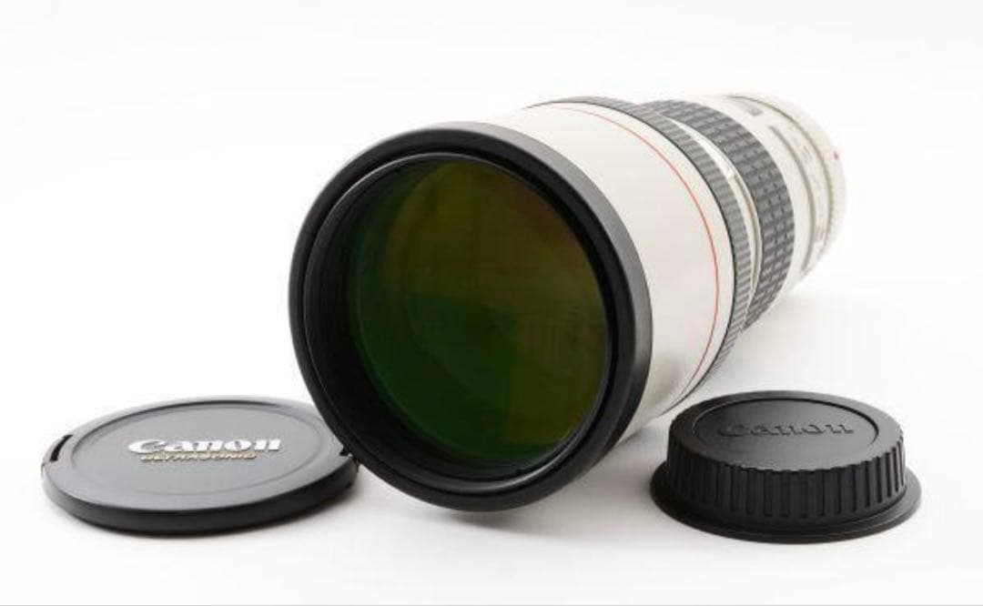 即購入⭕️ Canon EF 300mm f/4 L USM レンズ　単焦点