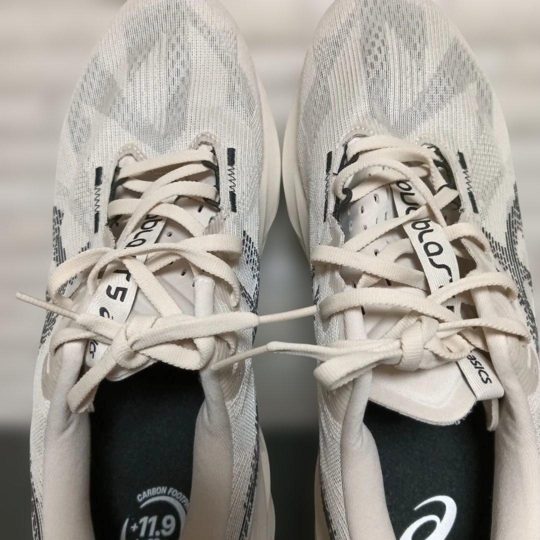 ASICS ランニングシューズ　ノヴァブラスト　29cm