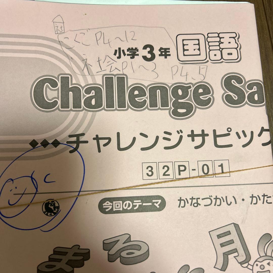 Spring様　デイリーサピックス 310-01-09 他　小学3年