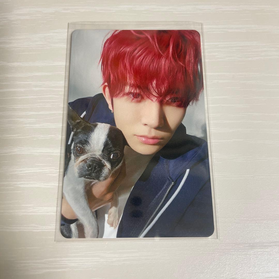 ENHYPEN アンケートトレカ ヒスン 2025