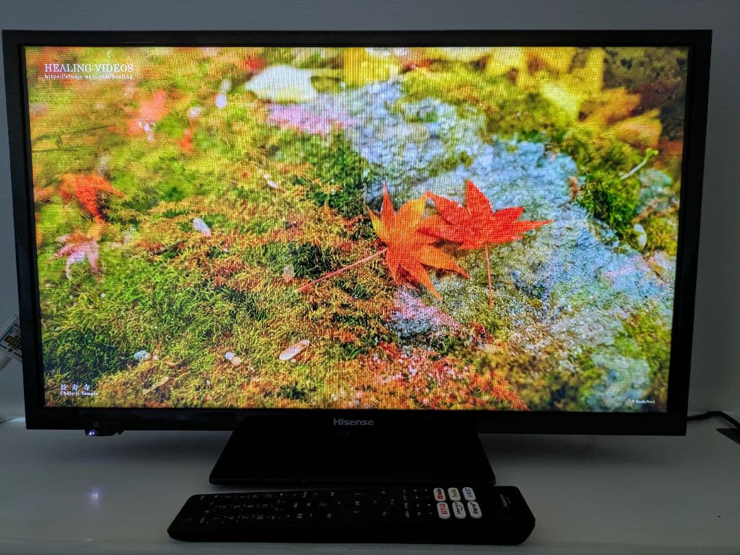 Hisense 24インチ 液晶テレビ 24A40G (21年製)