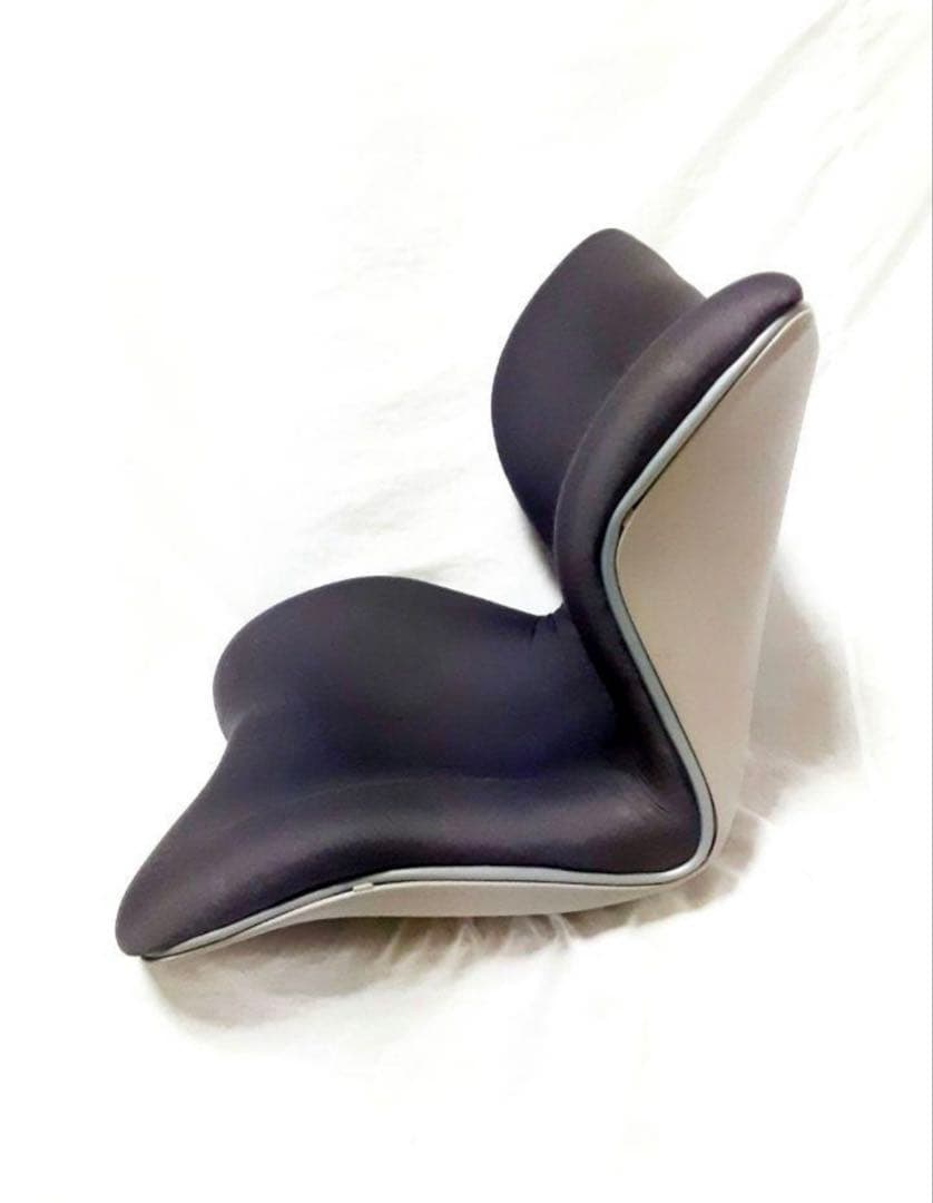 MTG Style PREMIUM スタイルプレミアム 座椅子 姿勢サポート