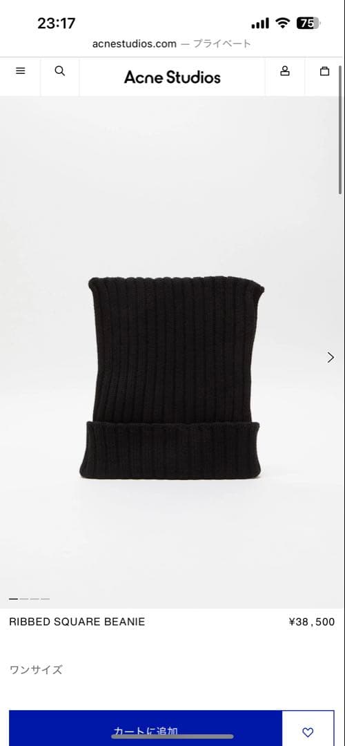 Acne Studios リブ編みスクエアビーニー