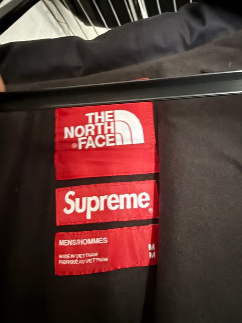 The North Face supreme自由の女神 マウンテンパーカー