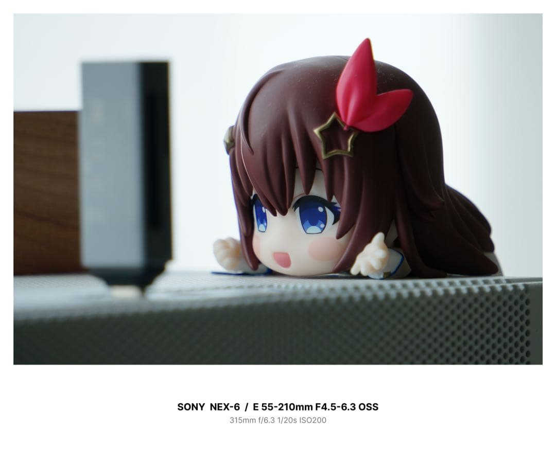 SEL55210 + CPLフィルター SONY 望遠レンズ 55-210mm