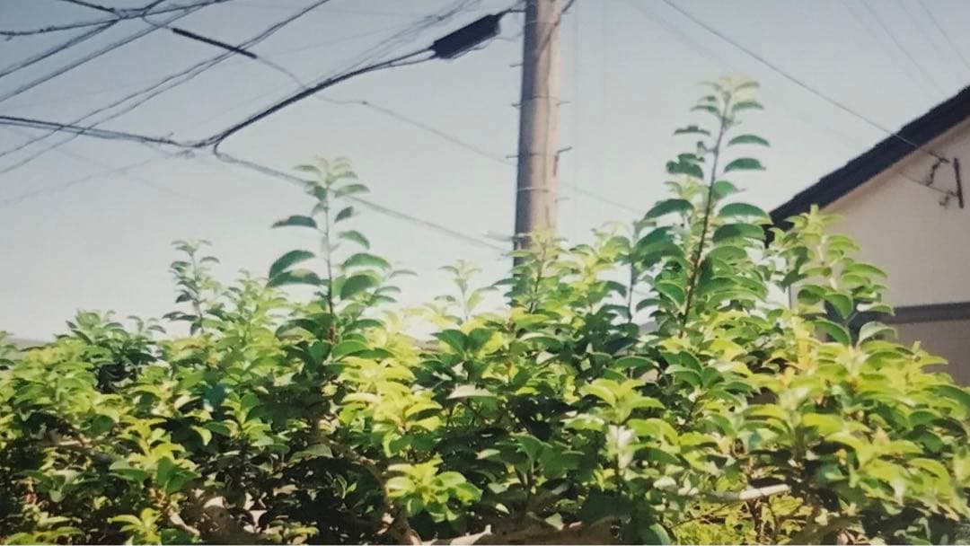 CanonFTb一眼レフカメラ&レンズFD28㎜ F3.5 美品