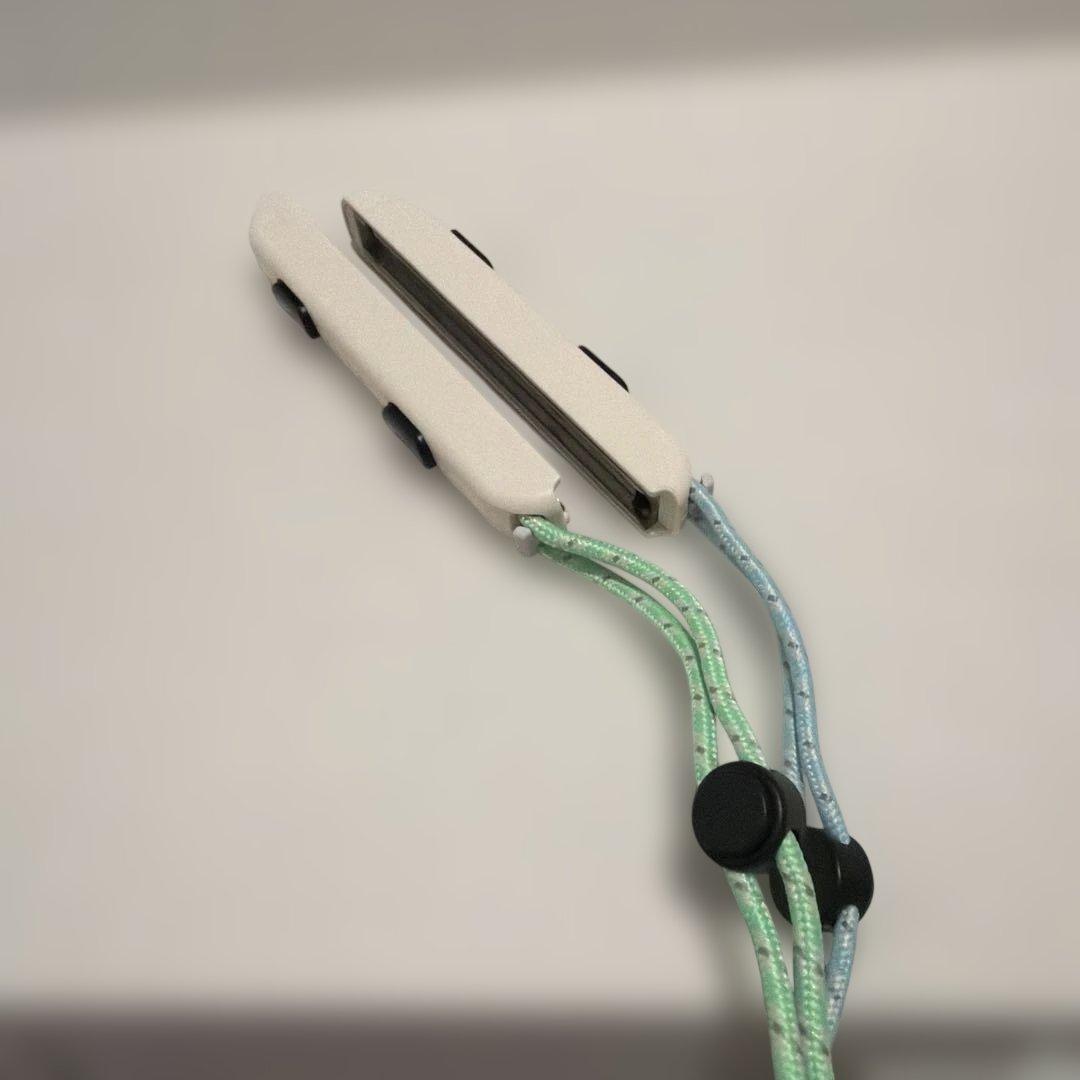 値下げ☆Nintendo Switch 本体 あつまれどうぶつの森 おまけつき