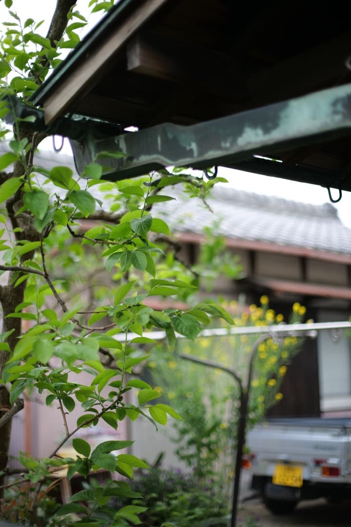 Canon LENS EF 50mm F1.4 フード付き