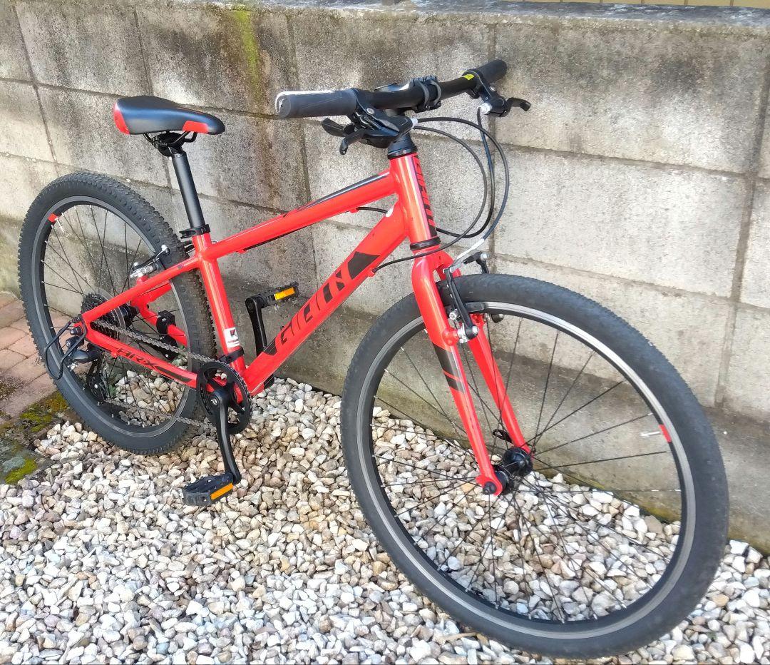 ジュニアクロスバイク　GIANT ARX　24インチ