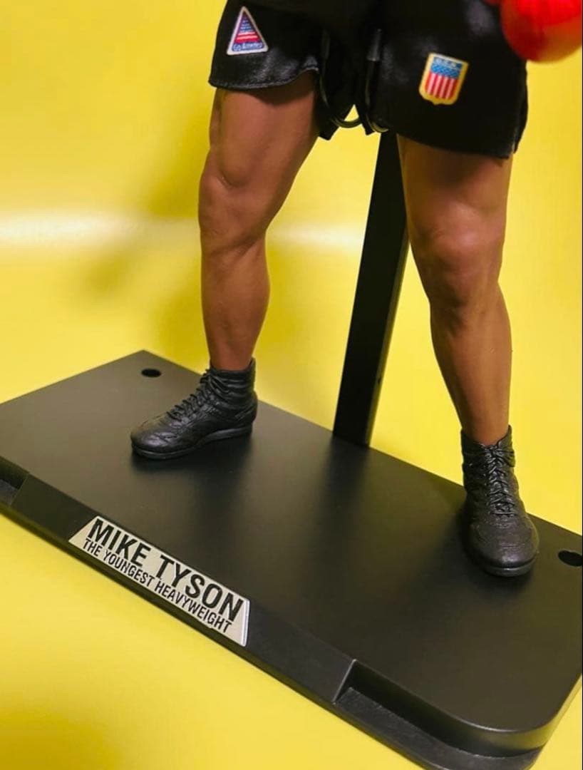 ストームコレクタブル　マイクタイソン　フィギュア　輸送箱付き　ホットトイズ