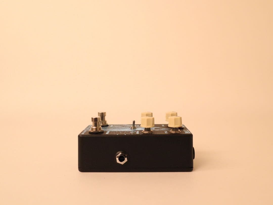 ギター OLD BLOOD NOISE ENDEAVORS DARK STAR V1