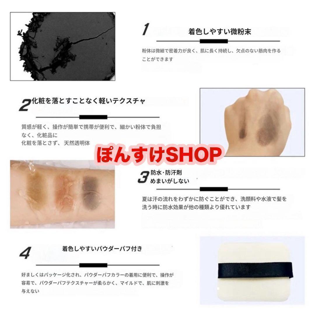 take 10個 ヘアシャドウ ヘアパウダー ダークブラウン ミラー付き