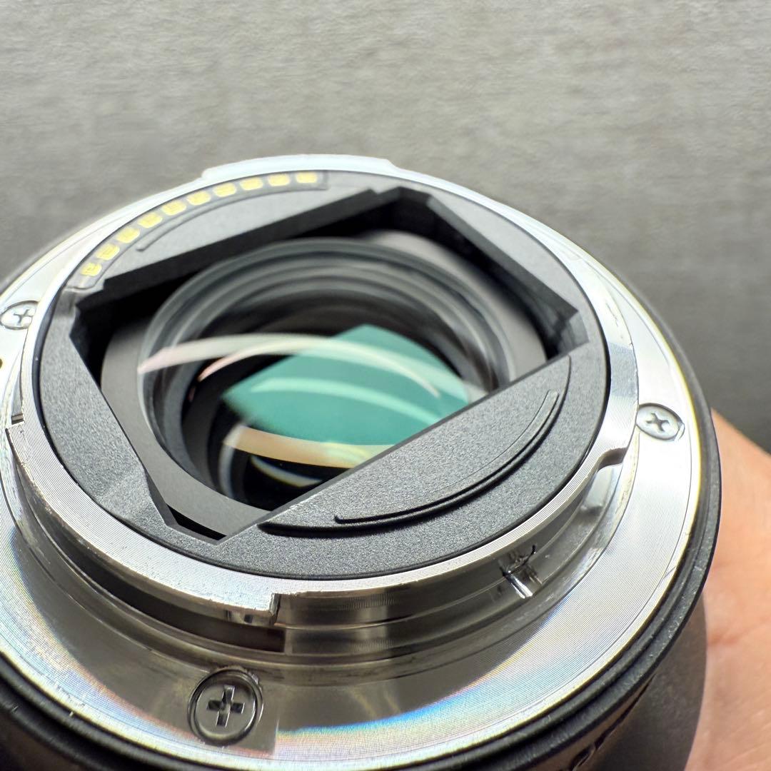 SONY ソニー FE 20-70mm F4 G SEL2070G