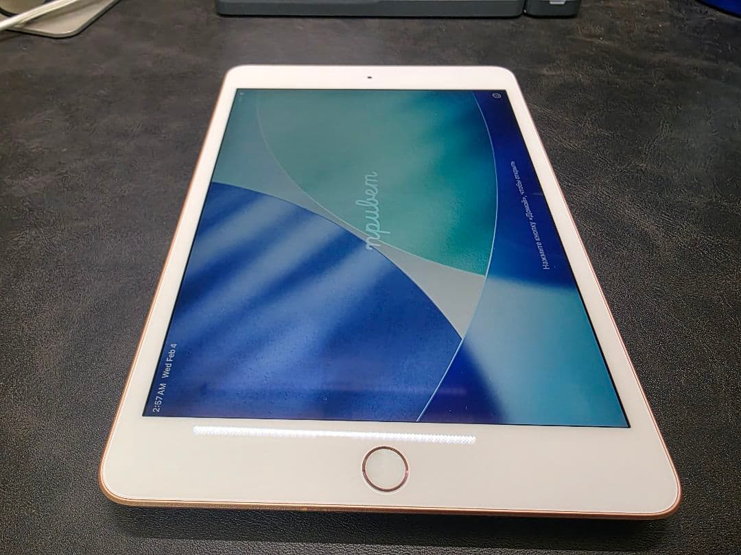 iPad mini4 第5世代 256g Cellular 美品
