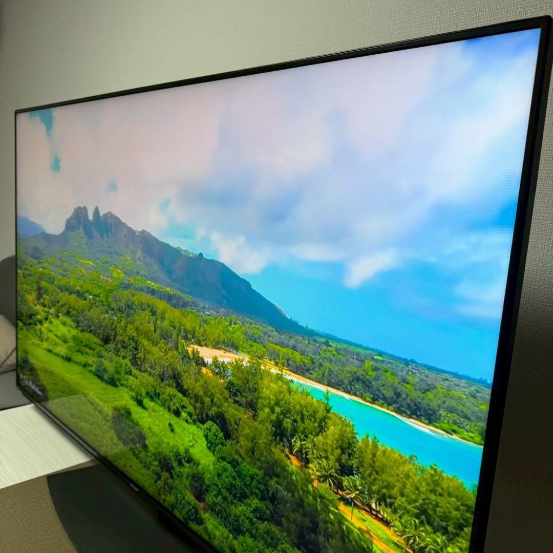 AQUOS 4T-C60DN1 液晶テレビ 60インチ　REGZAパナソニック