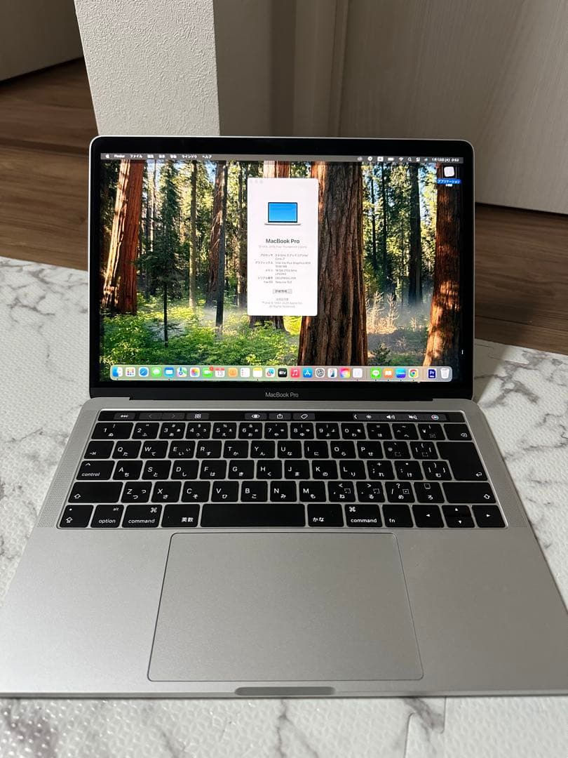 MacBook本体 MacBook Pro 2019