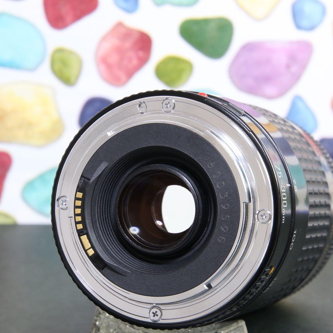 ♥︎◇遠くを撮るならこのレンズ♪ ◇Canon 75-300mm USM