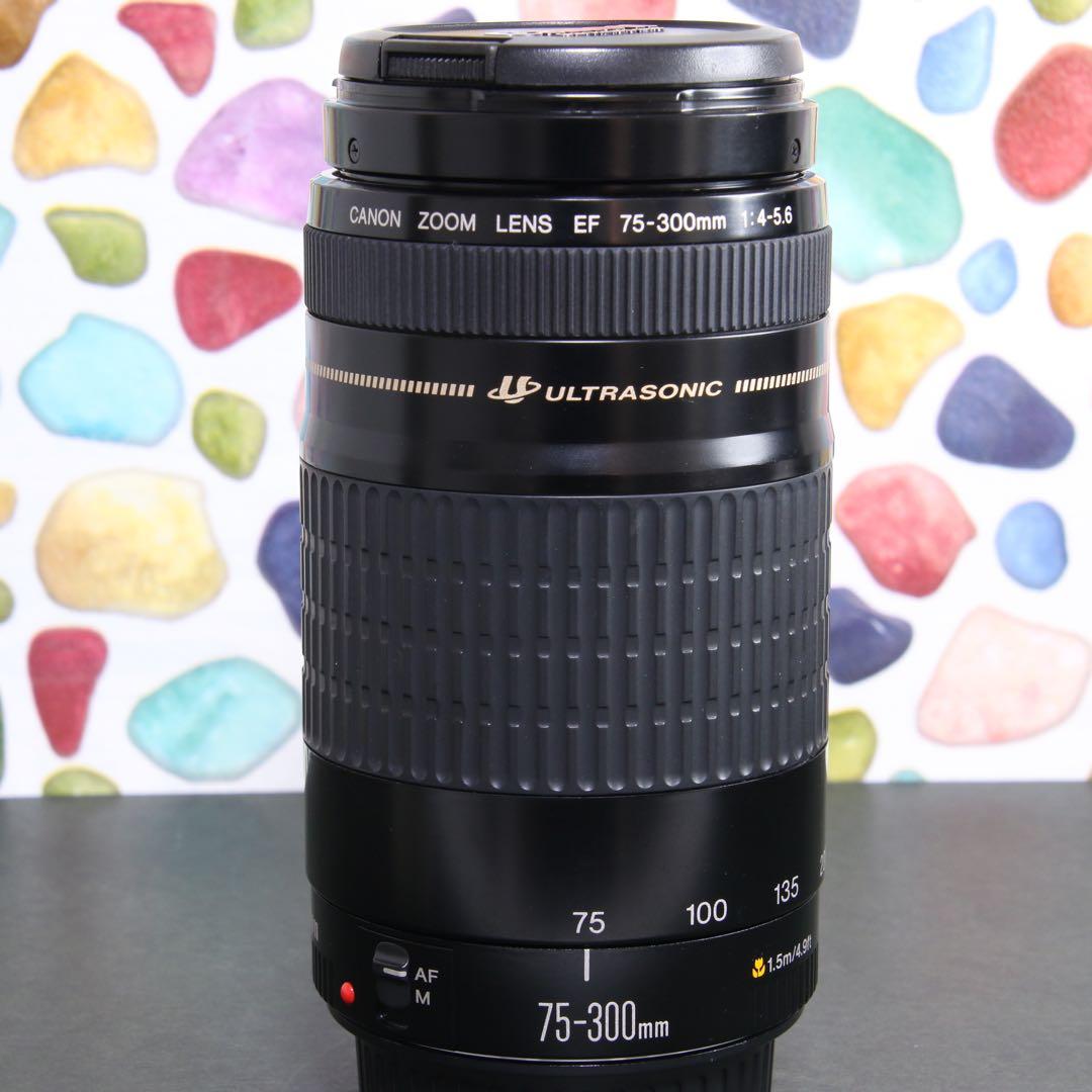 ♥︎◇遠くを撮るならこのレンズ♪ ◇Canon 75-300mm USM