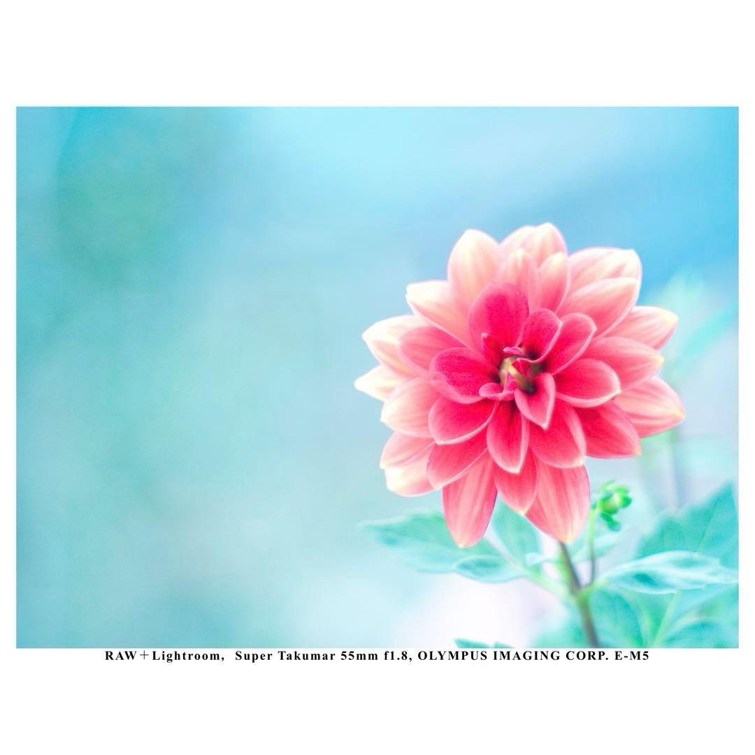 【整備済】Super Takumar 55㎜ f1.8 後期型 タクマー M42