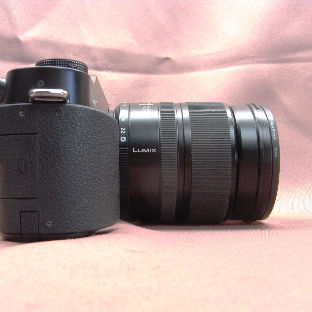 ライカ　Dバリオエルマー付き　パナソDMC.L1K　レンズキット